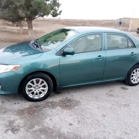 Toyota Corolla 2010