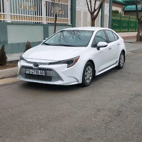 Toyota Corolla 2021