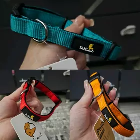 ошейники для собак