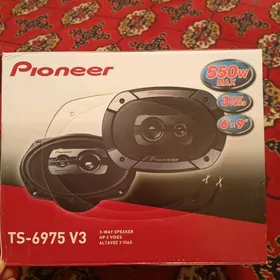 Pioneer 550 w