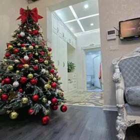  Ак Алтын дом Плановый 