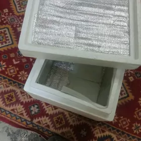 холодильник мобильный