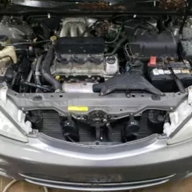 1MZ 3lük gara mator