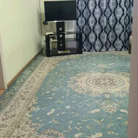 satlyk kwartira 31kw