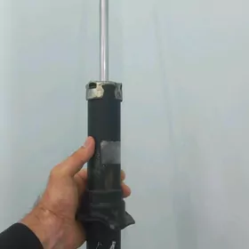 Amertizator arginal morda