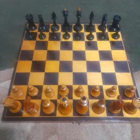 Шахматы СССР