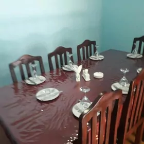 KAFE  ŞAŞLIŞNIK  GEREG