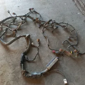 нмссан максима