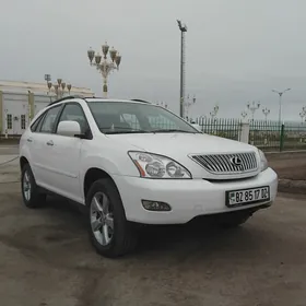 Lexus RX 330 2004