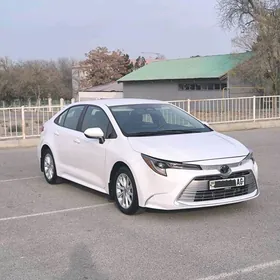 Toyota Corolla 2024