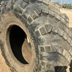 Nataşa tigir  50p tikrem bar