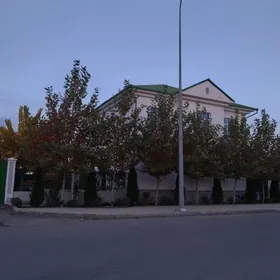 Täze Zaman 1, komnat arenda