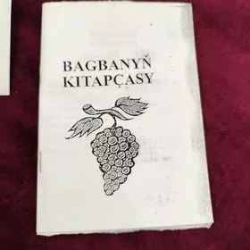 дача саглык йолун угрунда