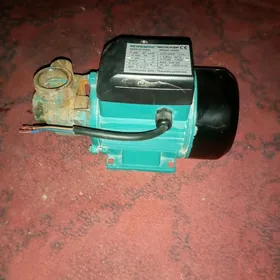 ŞHIMGE.NASOZ.40.LIK.ARASTA.