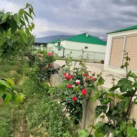 Gokdepe Hurmant plan jay