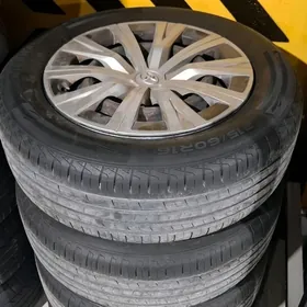 16 lik diska pakriska kalpak