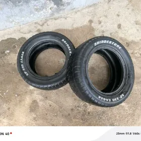 wilis vilis brstone 13 lik