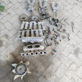 25 Mark matoryn wiwiti zapj