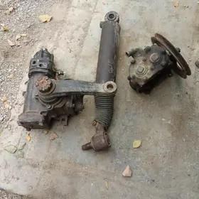 Rlawoŷ kalonka başgalar