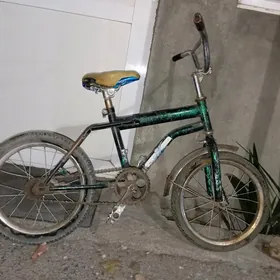 tigir kici caga gyssagly welik