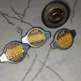 Termastatgapak kri$ka