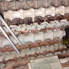 AtaplenýaAtaplenýa