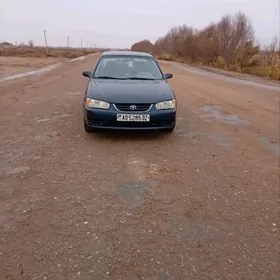 Toyota Corolla 2001