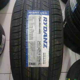245/55/19 RUDANZ 2025Y