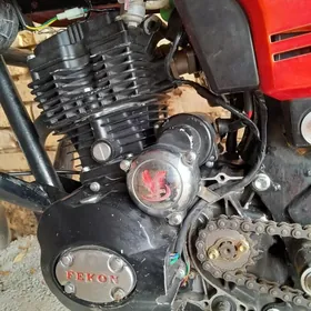 Fekon FK200-14G 2022