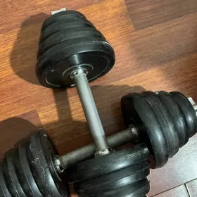 Гантели разборные