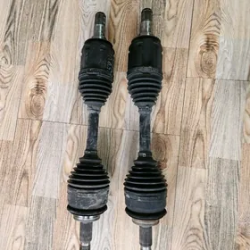 гранат прадо