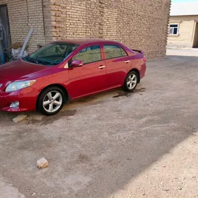 Toyota Corolla 2010