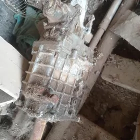 газел каропка