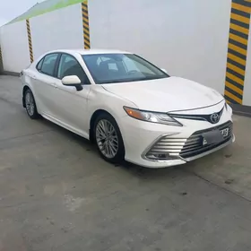 Toyota Camry 2020