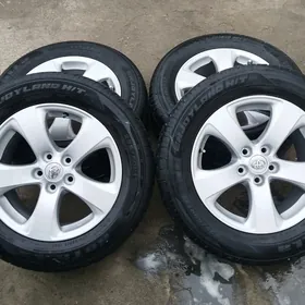 siyena disga teker arginal17lik