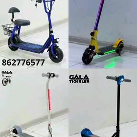 TIGIR SAMAKAT MATOR KALYASGA