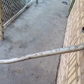 Гулашитель