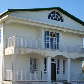 Taze zaman kotej eyesinden