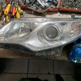 12 14 palta fara cep tarap