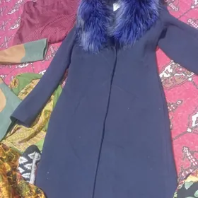 paltolar govja tazeje