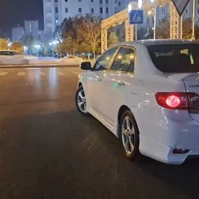 haliji carolla korolla bagaž