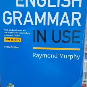 Grammar in use intermediate