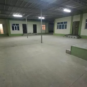 Arenda BAGYR HOWLY kw