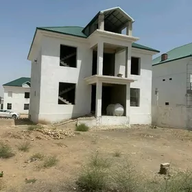 kotej Korobka ahal koce