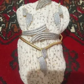 Buşterýa kamlekt gyssagly