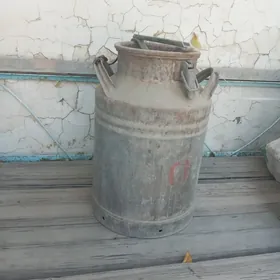 хожалык энжамлары