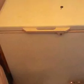 прадаеца маразилка