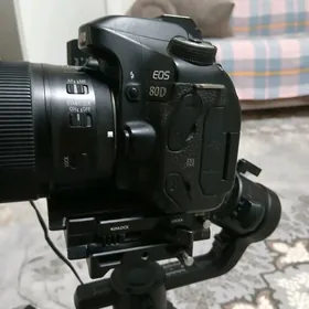 Canon 80d ronin moza