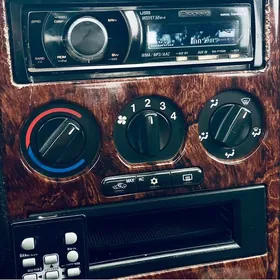 Pioneer orginal dilfin