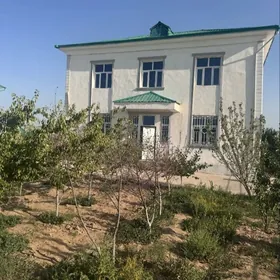 Eyesinden Taze zaman